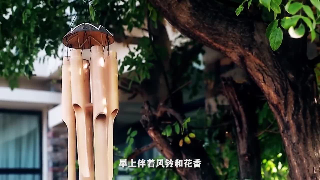 春天来了给大家推荐一个打卡好地方