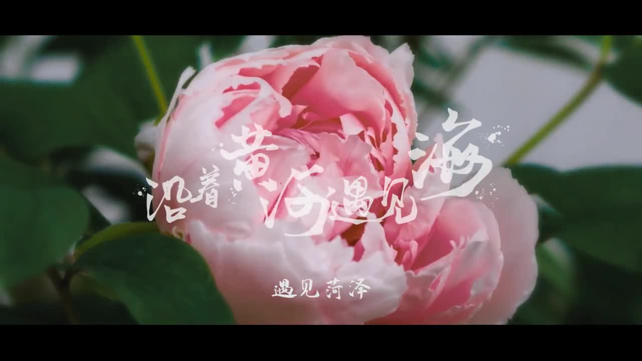 沿着黄河遇见海第一站之遇见菏泽水浒风烈浪浇牡丹