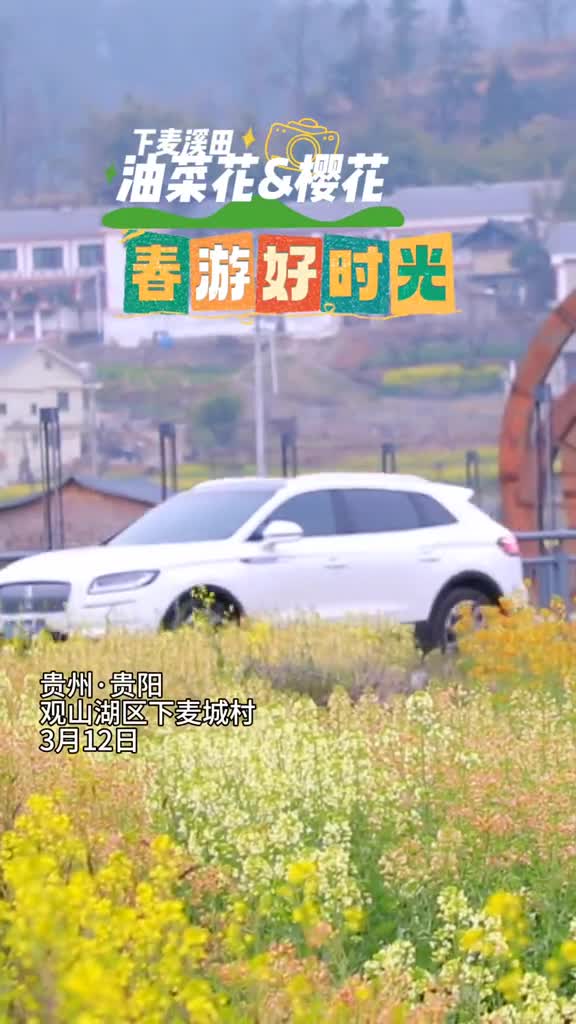 贵阳市观山湖区下麦城村油菜花邂逅浪漫樱花春日出游正当时