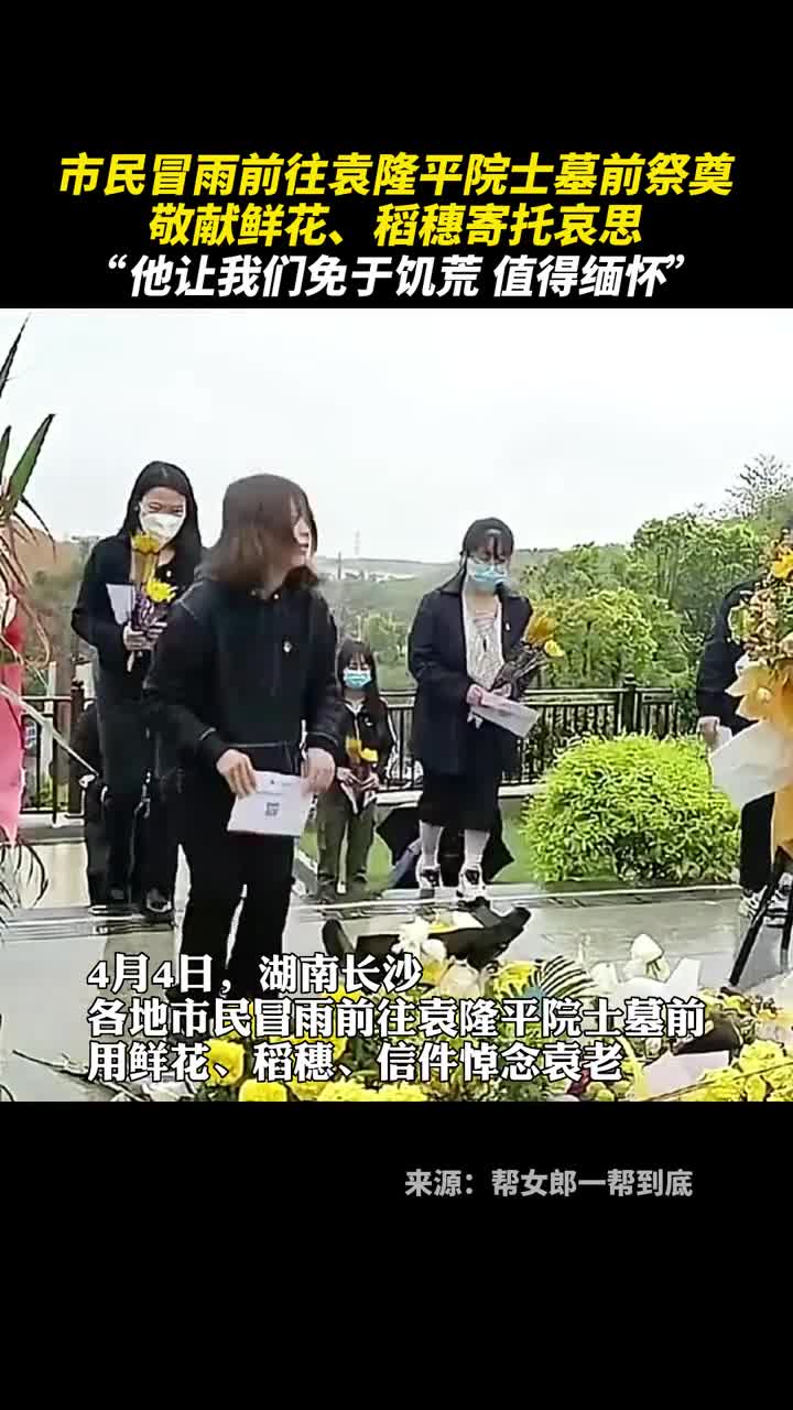 市民冒雨前往袁隆平院士墓前祭奠敬献鲜花稻穗寄托哀思