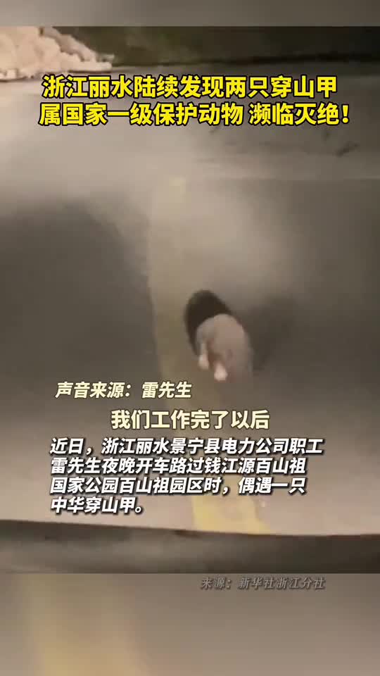浙江丽水陆续发现两只穿山甲属国家一级保护动物濒临灭绝