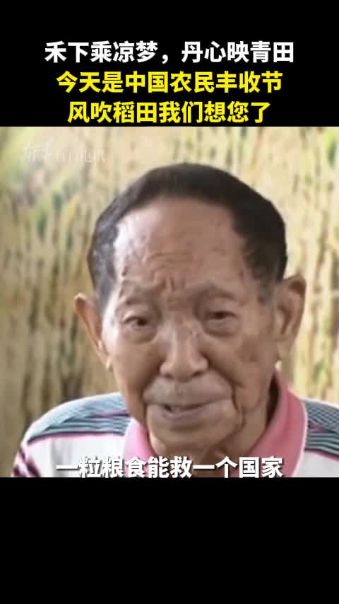 每到这一天风吹过稻田我们总会想起您