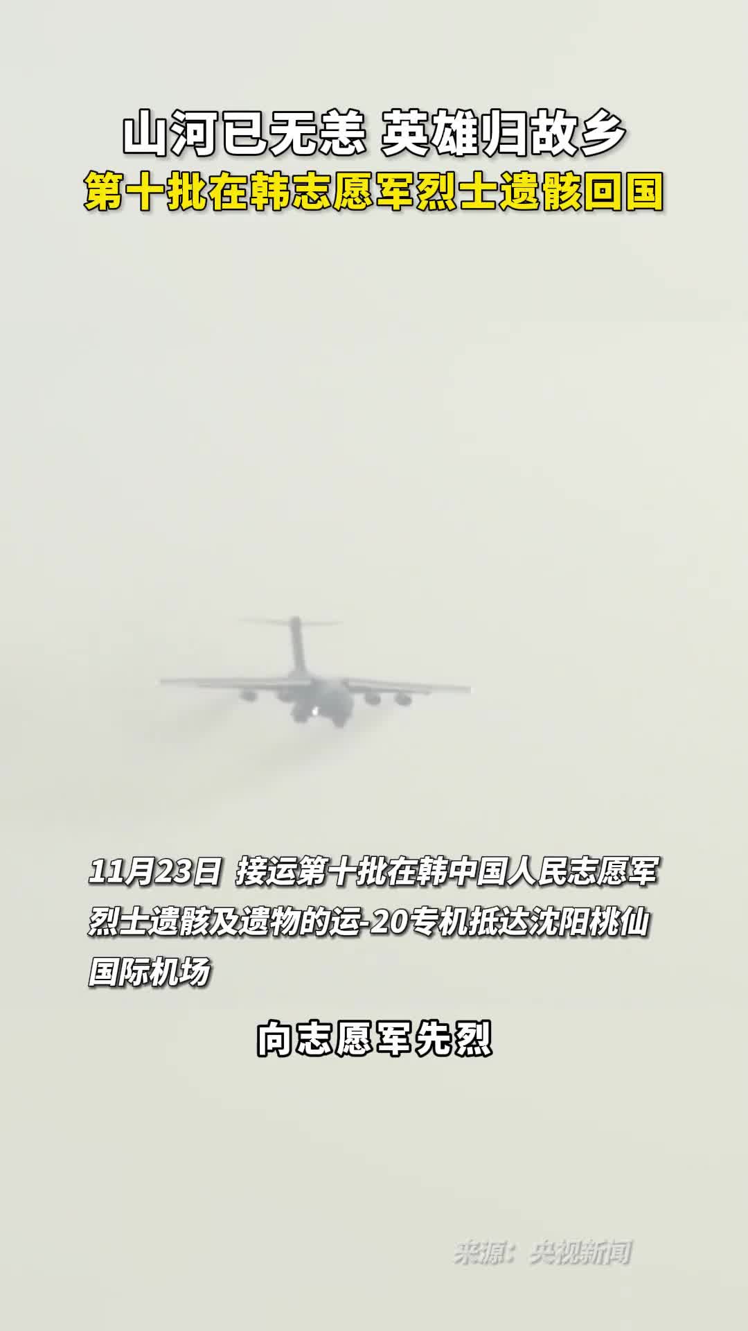 山河已无恙英雄归故乡第十批在韩志愿军烈士遗骸回国