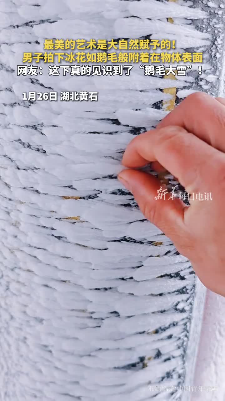 最美的艺术是大自然赋予的男子拍下冰花如鹅毛般附着在物体表面网友这下真的见识到了鹅毛大雪