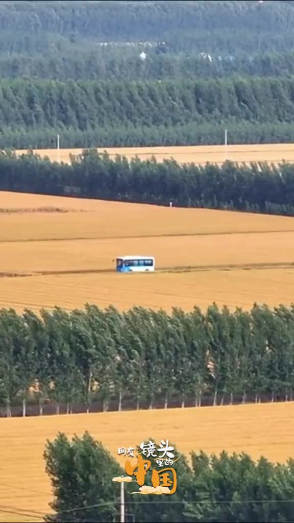 日薄花房绽风和麦浪轻