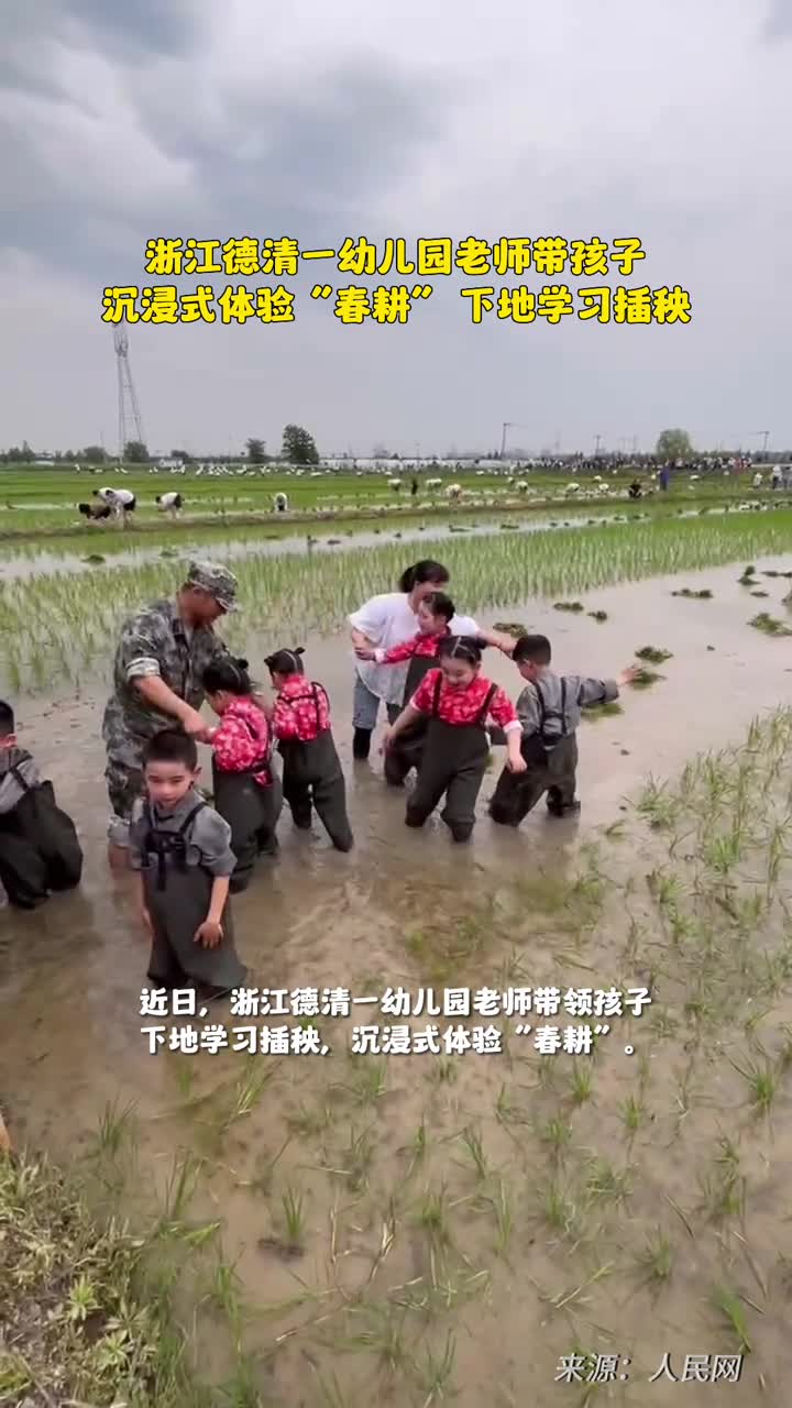 德清一幼儿园老师带孩子沉浸式体验春耕下地学习插秧