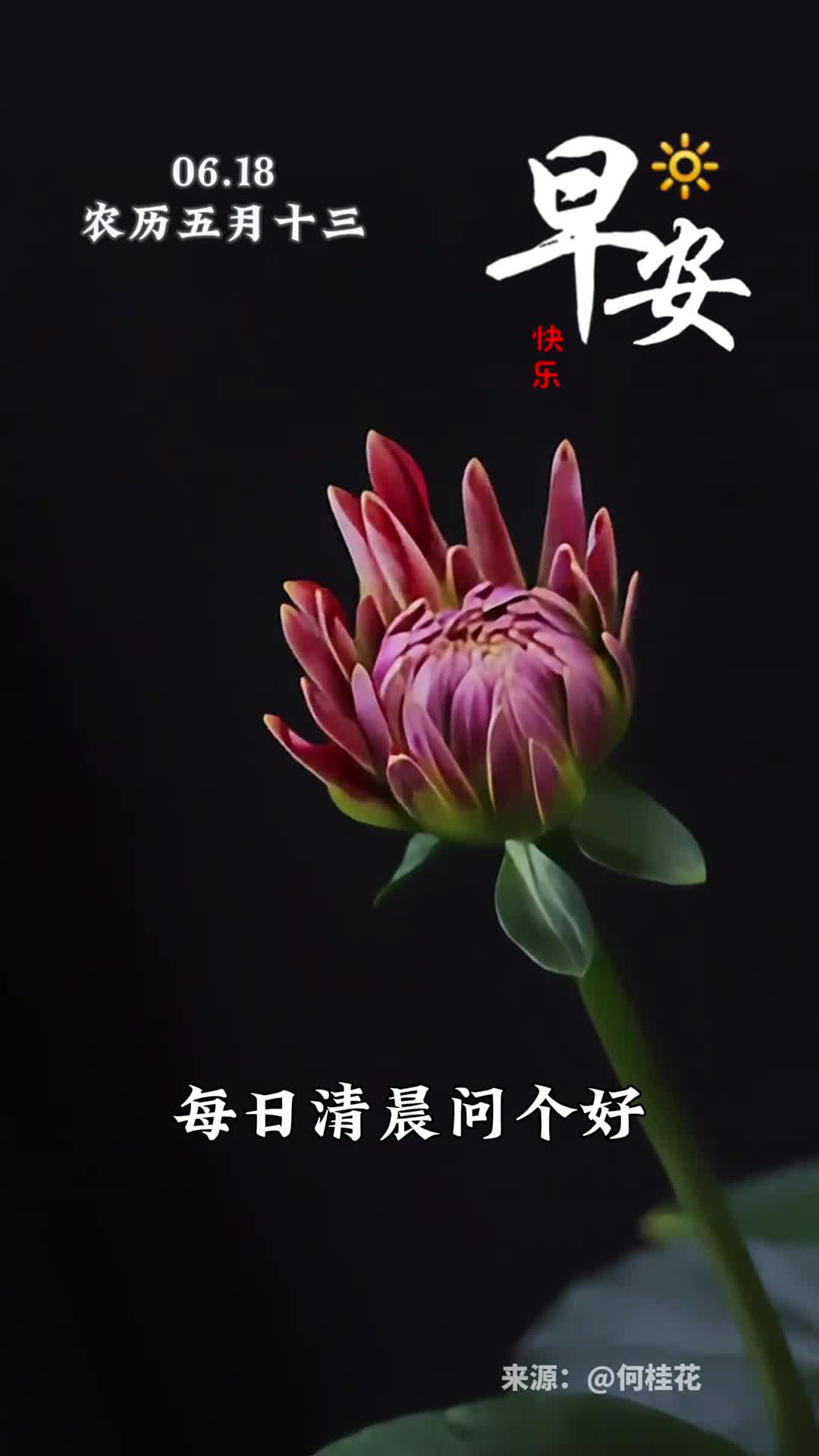 每日清晨问个好笑对人生每一秒新的一天愿你日日没烦恼岁岁享安康早安