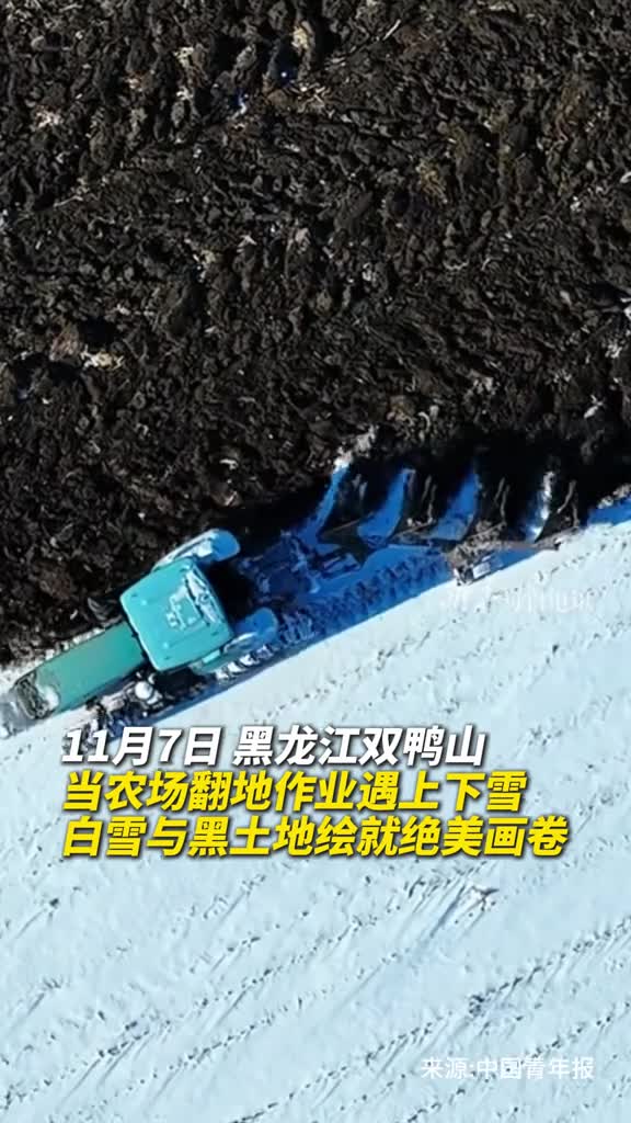 当农场翻地作业遇上下雪白雪与黑土地绘就绝美画卷
