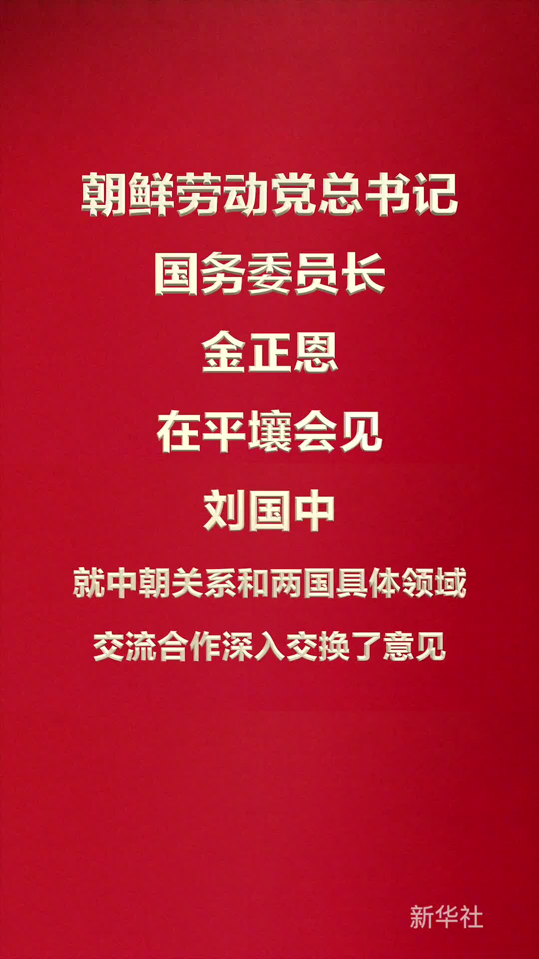 朝鲜劳动党总书记国务委员长金正恩会见刘国中