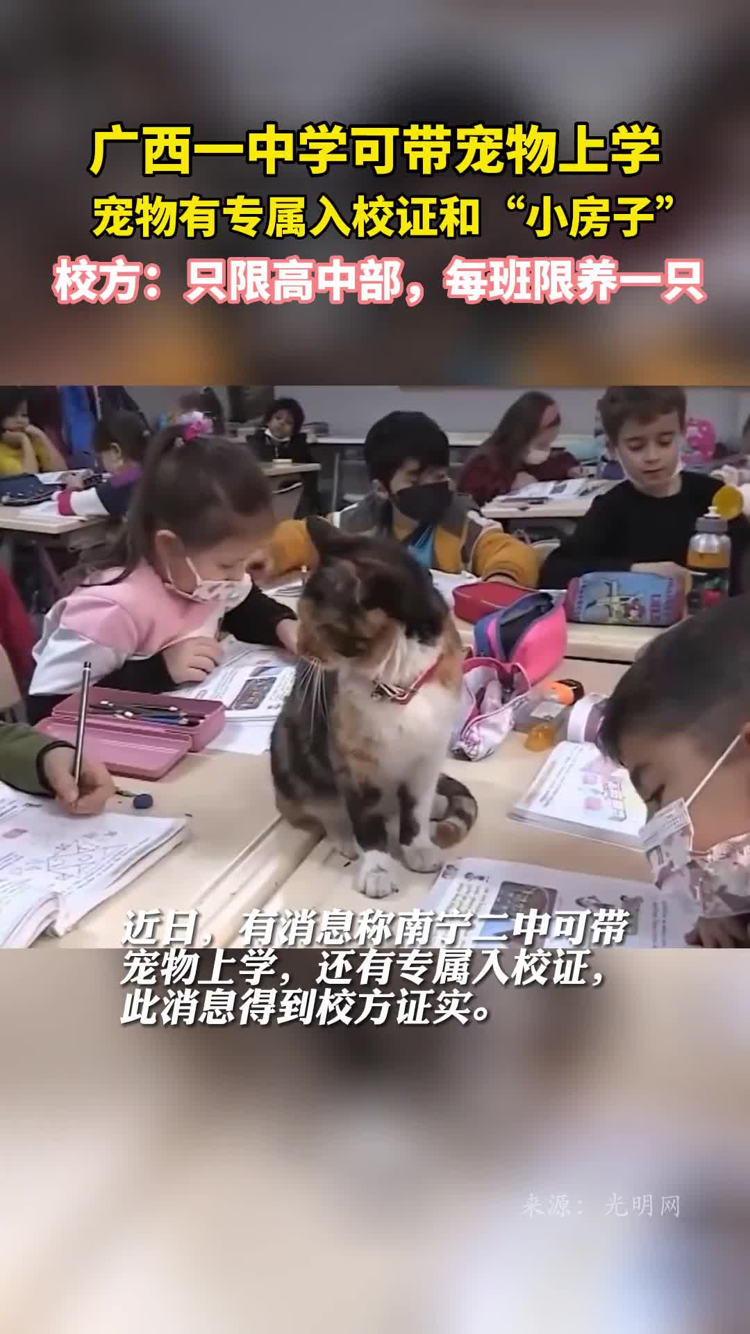 广西一中学可带宠物上学宠物有专属入校证和小房子校方只限高中部每班限养一只