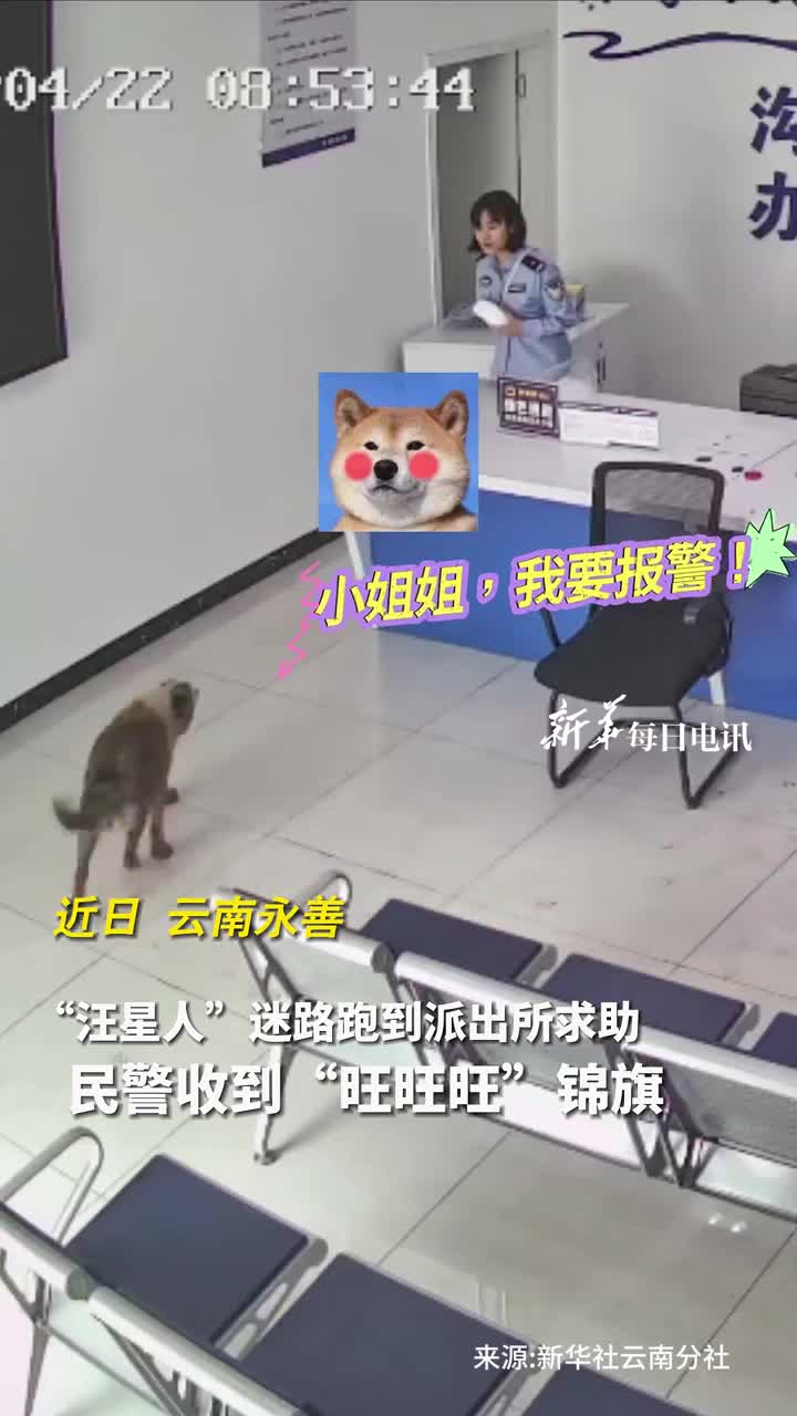 汪星人迷路跑到派出所民警收到旺旺旺锦旗