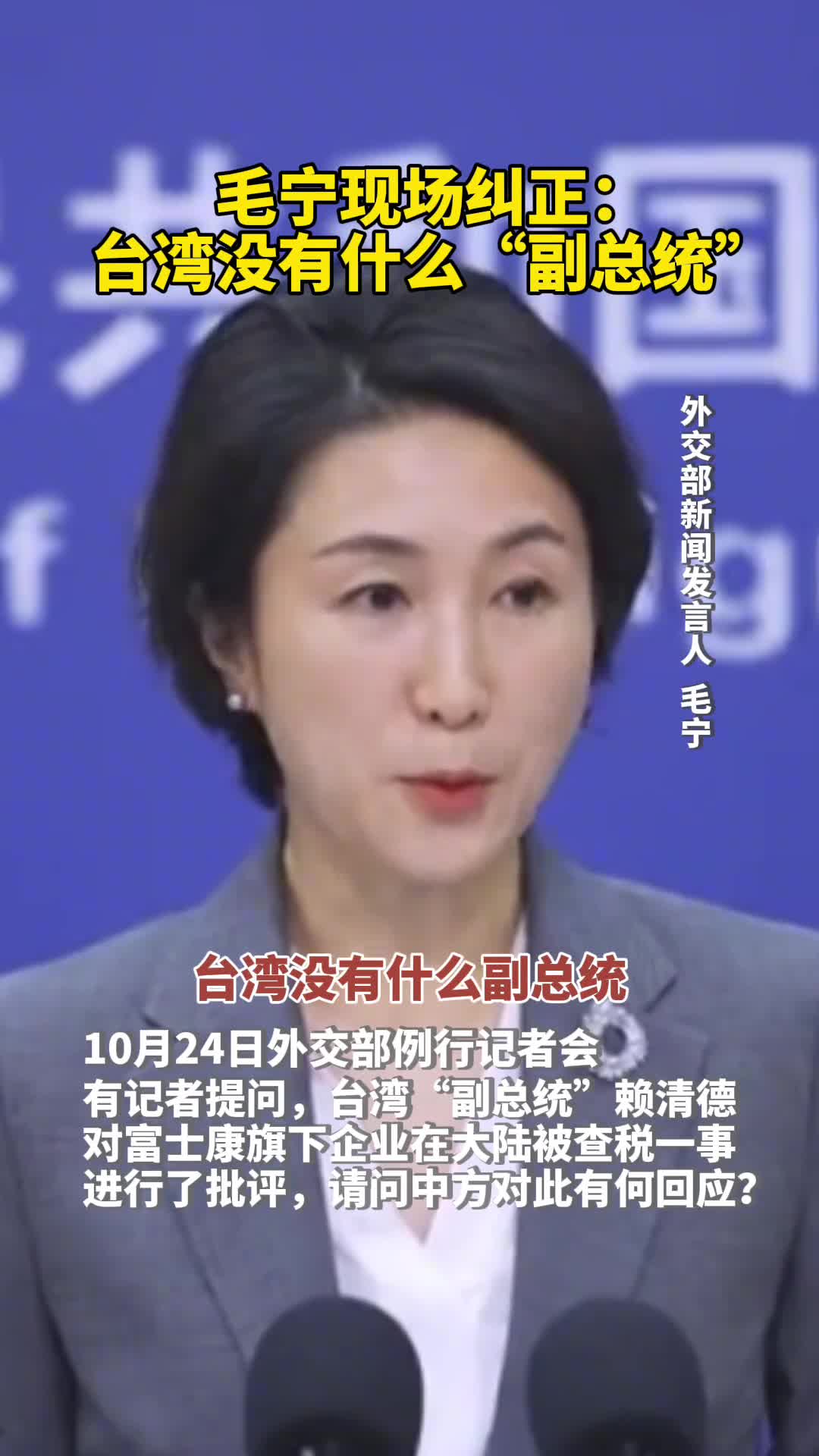 毛宁现场纠正台湾没有什么副总统