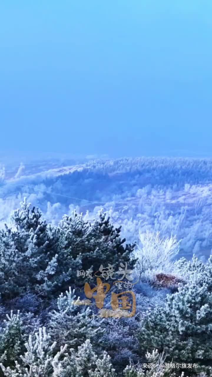 欲卜年丰今有验枝头密结雾凇花一起走进内蒙古准格尔旗看如冬日童话般的雾凇奇观