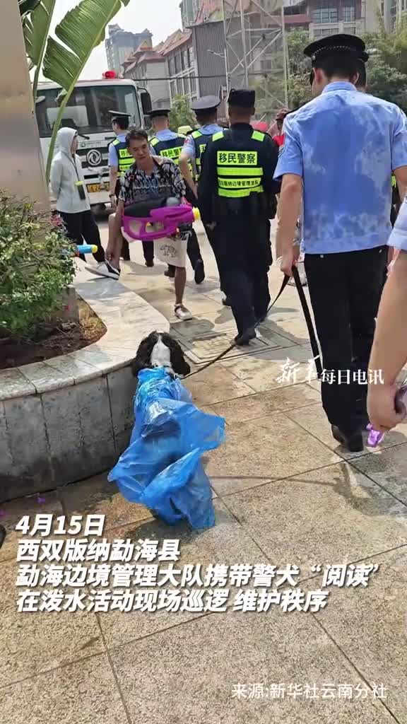 民警携带警犬阅读开展现场巡逻遭到群众集体洗击