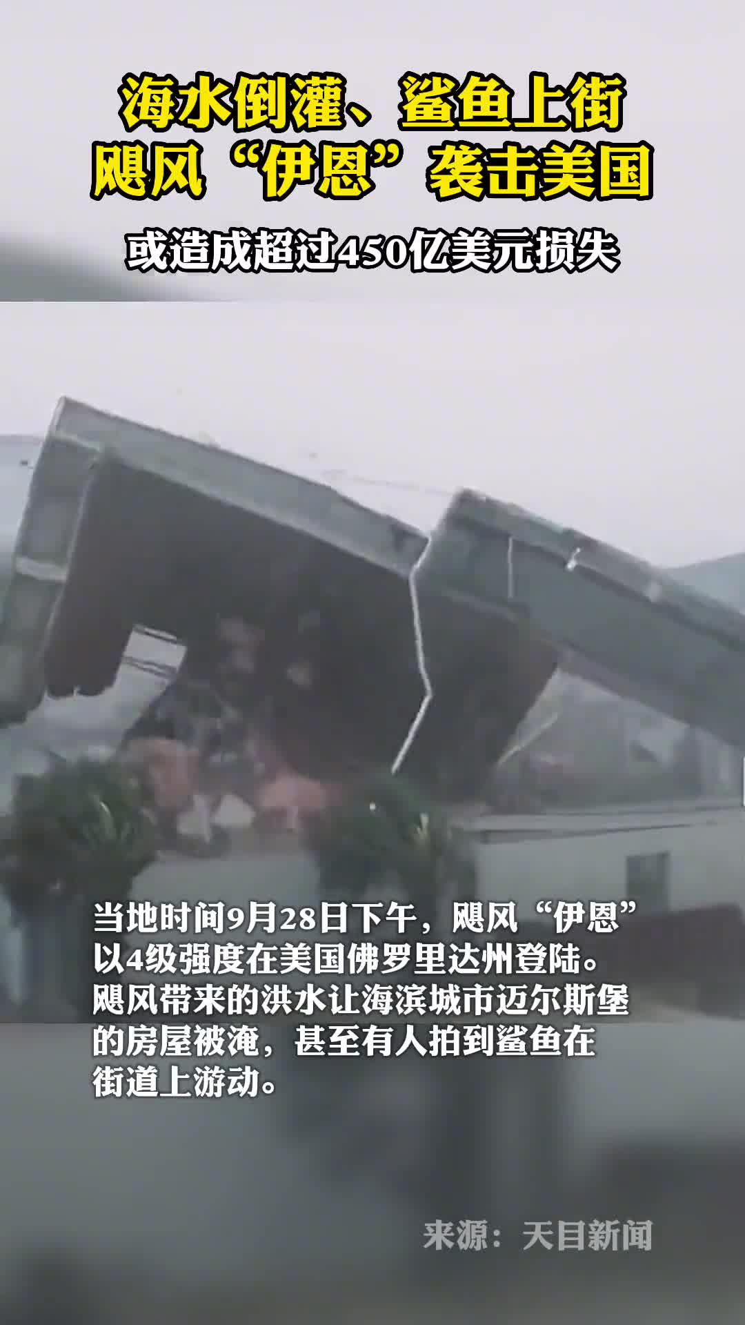 海水倒灌鲨鱼上街