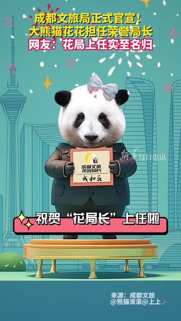 成都文旅局正式官宣大熊猫花花担任荣誉局长网友花局上任实至名归