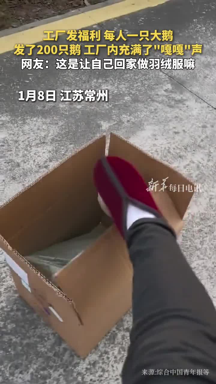 工厂发福利每人一只大鹅发了200只鹅工厂内充满了嘎嘎声网友这是让自己回家做羽绒服嘛