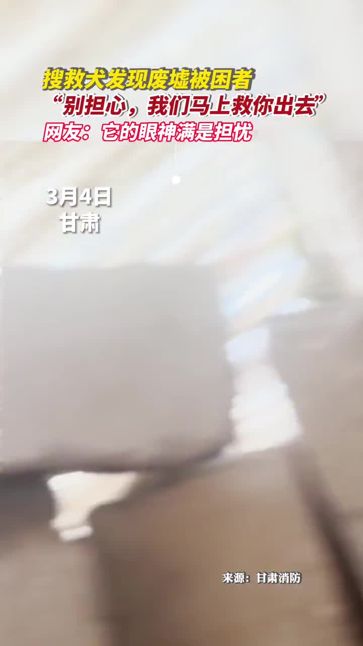 搜救犬发现废墟被困者别担心我们马上救你出去