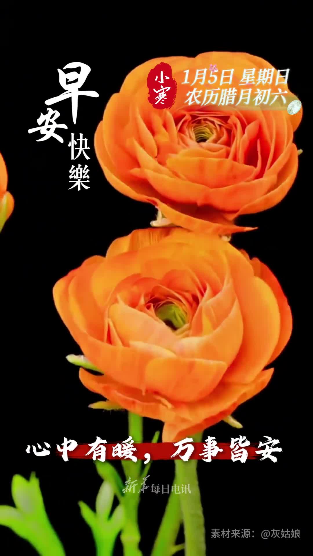 心中有暖万事皆安今天是小寒节气祝您和家人和乐安康幸福常伴早安