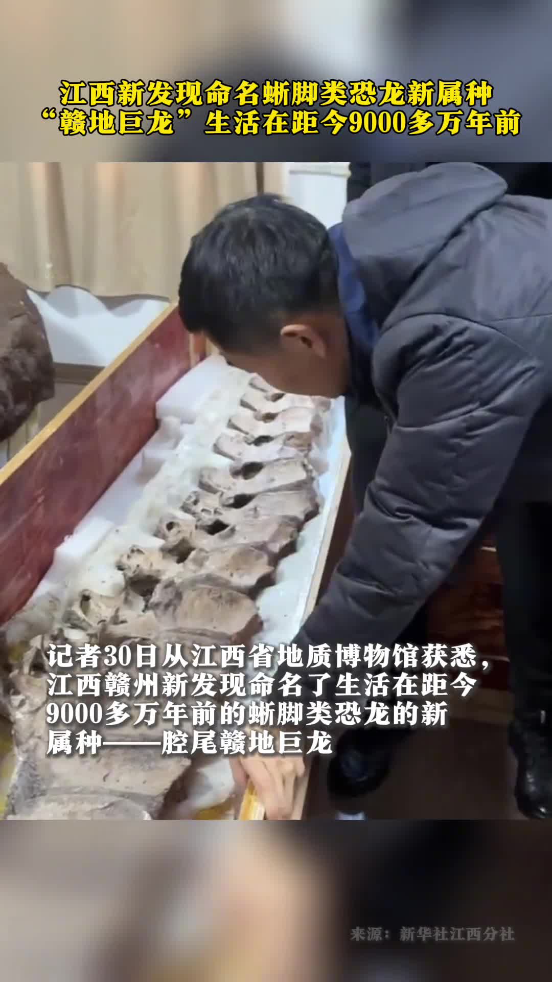 江西新发现命名蜥脚类恐龙新属种