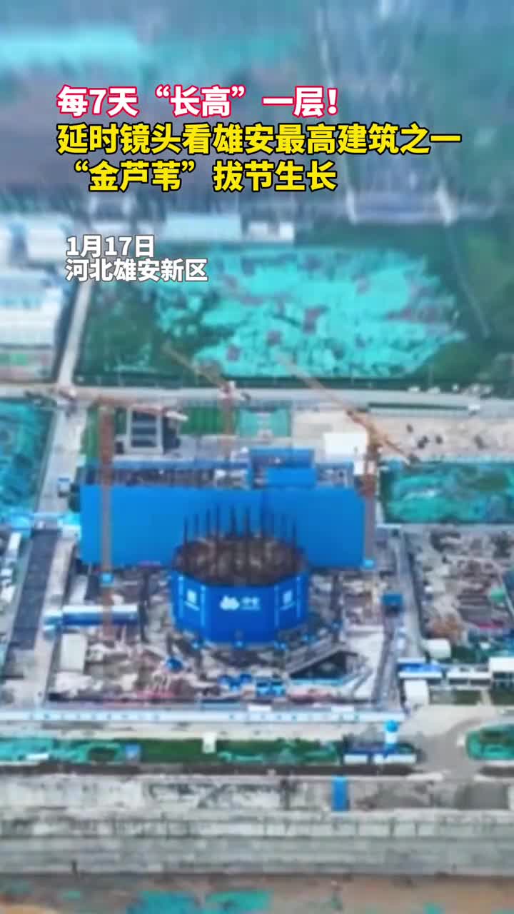 每7天长高一层看雄安最高建筑之一金芦苇拔节生长