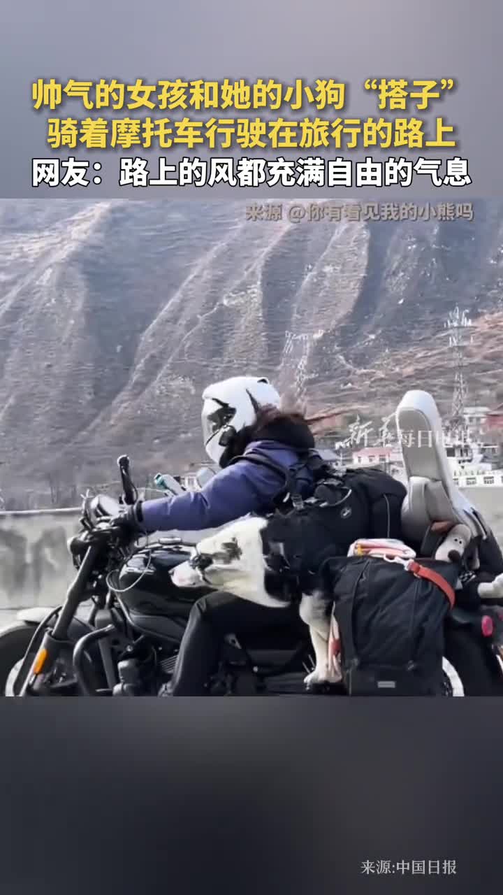 帅气的女孩和她的小狗搭子骑着摩托车行驶在旅行的路上网友一人一狗一吉他太酷啦路上的风都充满自由的气息中国日报