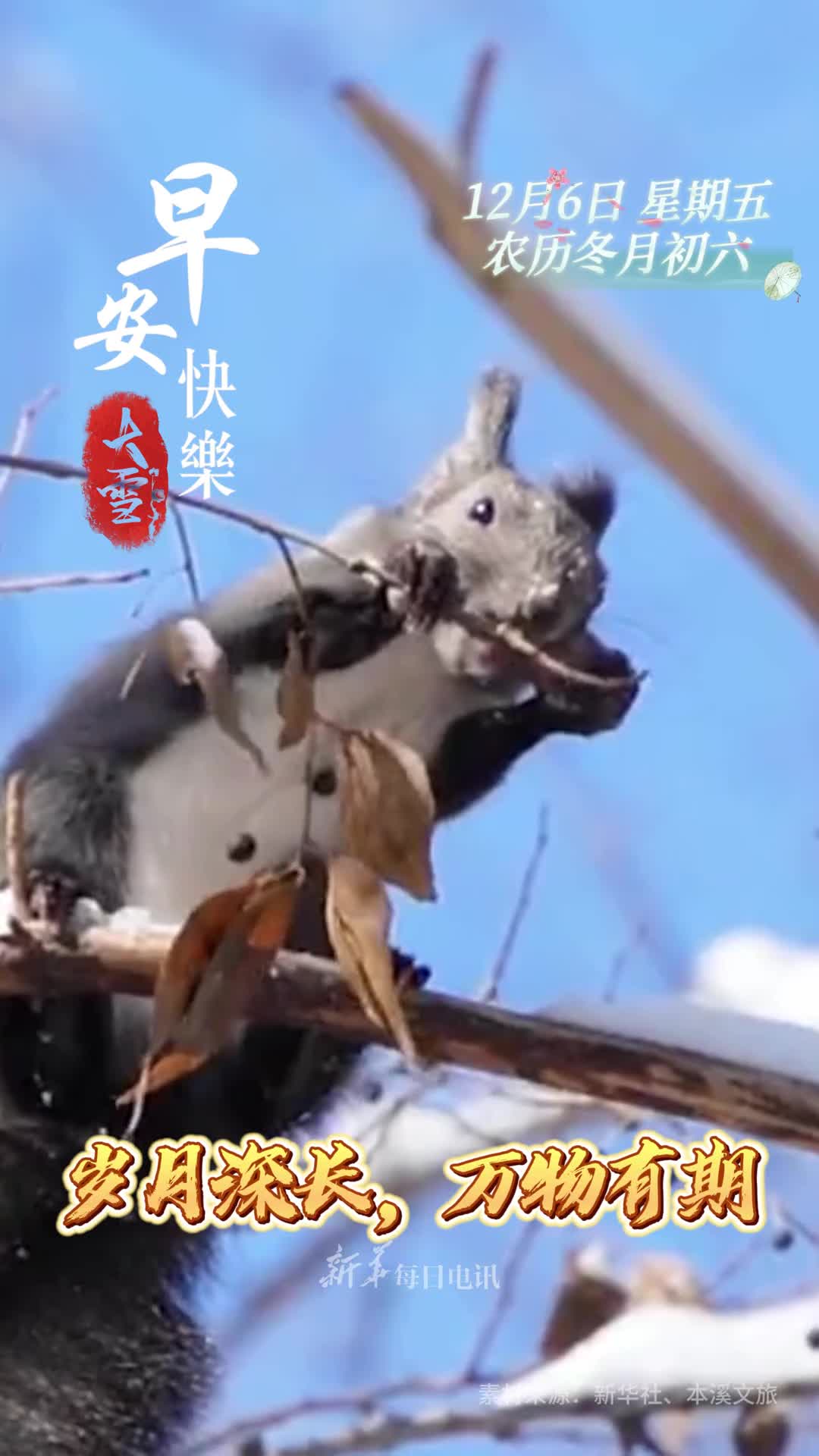 岁月深长万物有期大雪节气愿君安康祝您和家人事事如愿幸福绵长早安