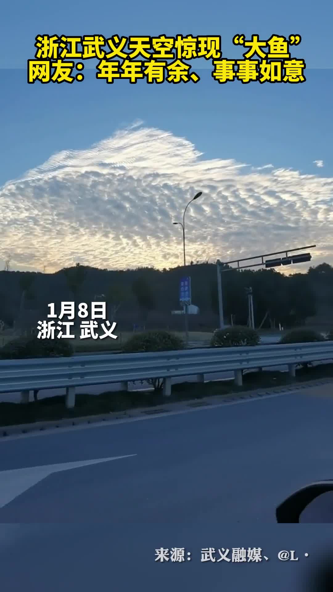 浙江武义天空惊现大鱼网友年年有余事事如意