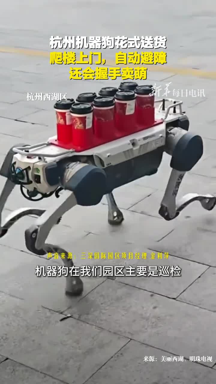杭州机器狗花式送货爬楼上门自动避障还会握手卖萌