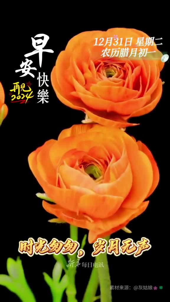 时光匆匆岁月无声今天是12月31日岁末年终之际祝您和家人幸福安康美好常伴早安