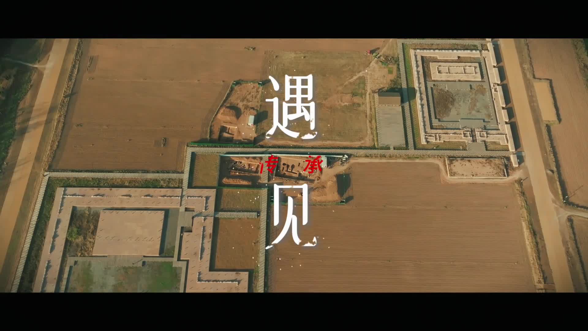 河南是国内大遗址分布最为密集的省份自2021年以来在河南省委省政府一系列政策的有力推动下河南世界级大遗址公园走廊建设成效显著以环嵩山大遗址群为核心以仰韶文化和殷商文明为两极呈多点辐射之布局正在构建起三门峡洛阳郑州开封安阳的世界级大遗址公园走廊