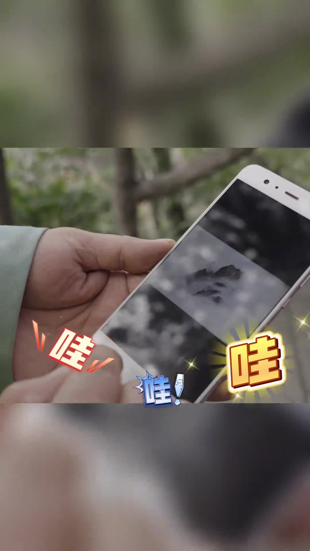 普通人拍摄的黄山能有多惊艳