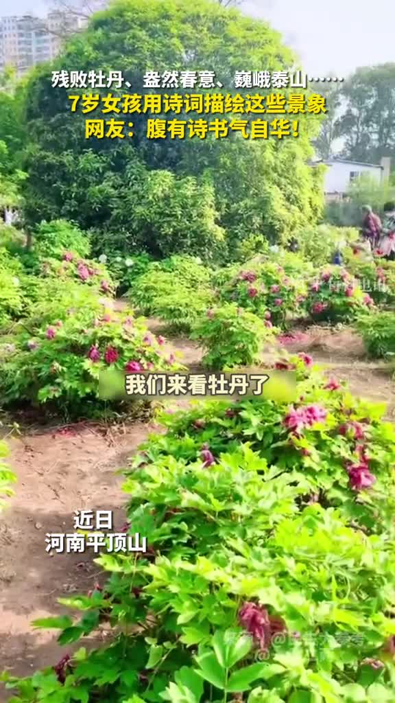 残败牡丹盎然春意巍峨泰山7岁女孩用诗词描绘这些景象网友腹有诗书气自华