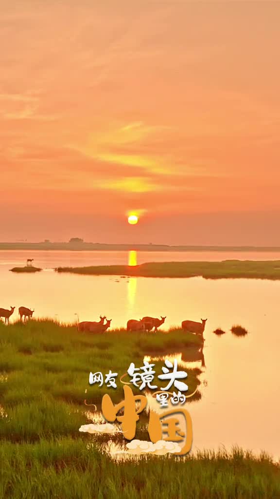 日落麋鹿童话世界一起走进位于江苏盐城的大丰野鹿荡湿地