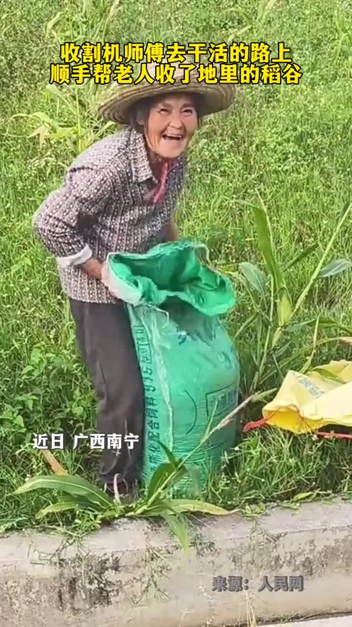 收割机师傅去干活的路上顺手帮老人收了地里的稻谷