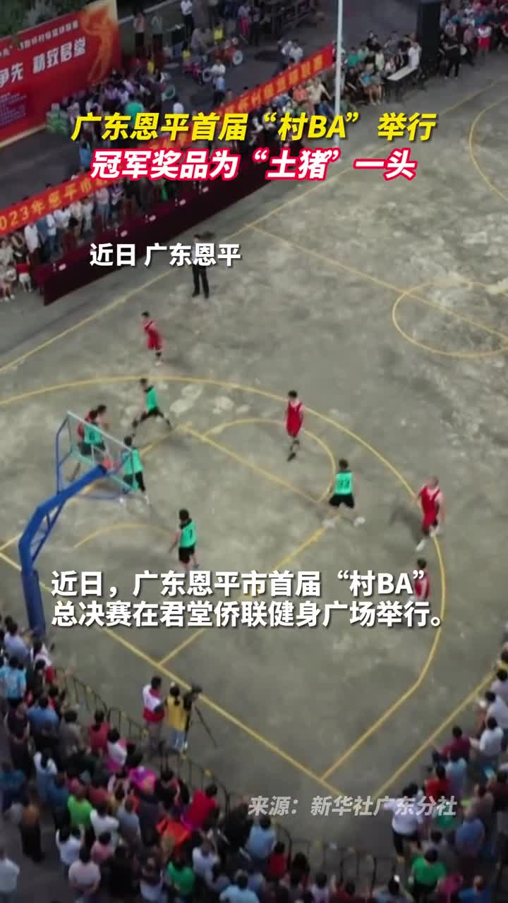 广东恩平首届村BA举行冠军奖品为土猪一头