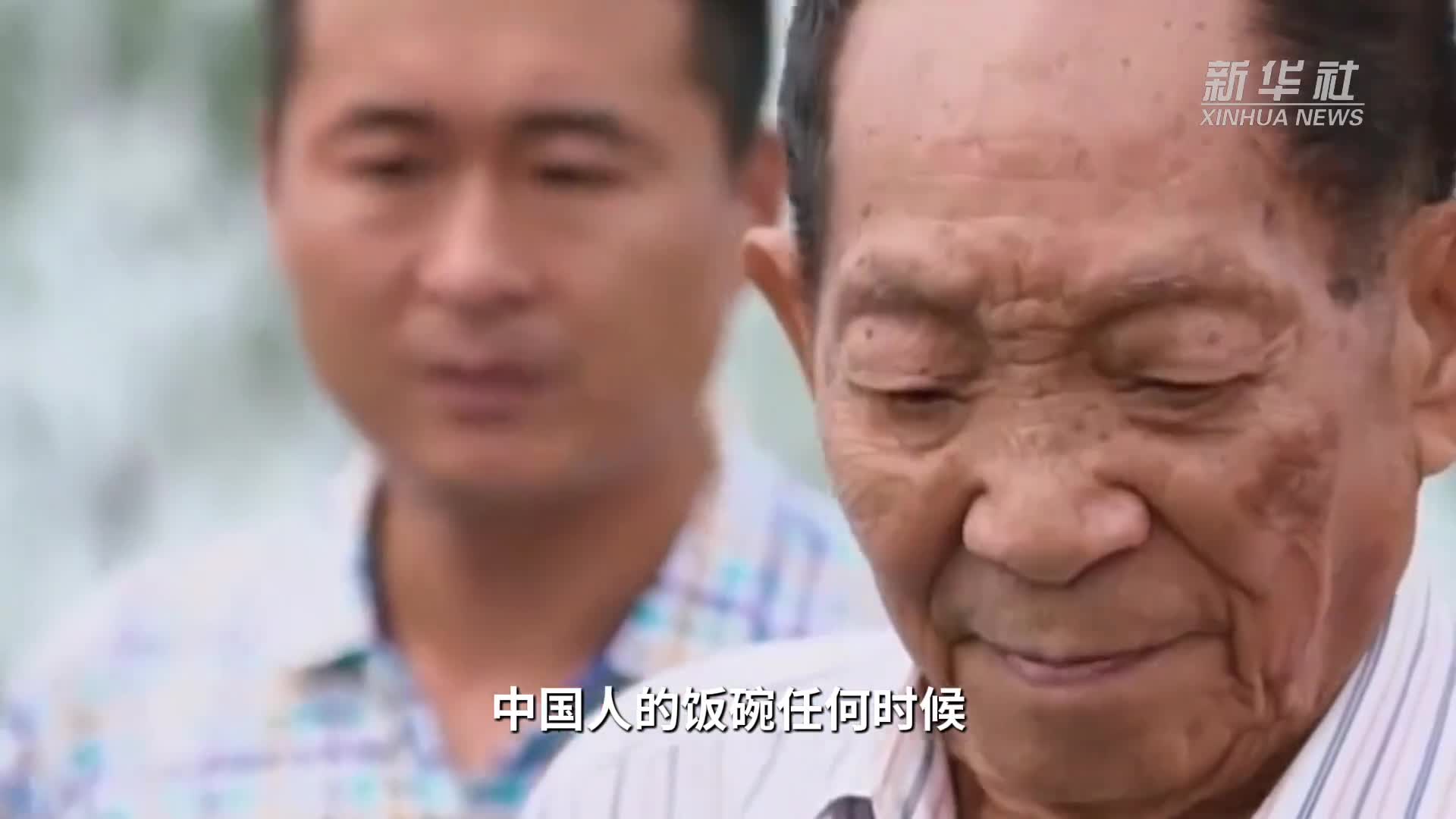 杂交稻让我没时间变老瓜是我的生命丰收节致敬我们的丰收英雄
