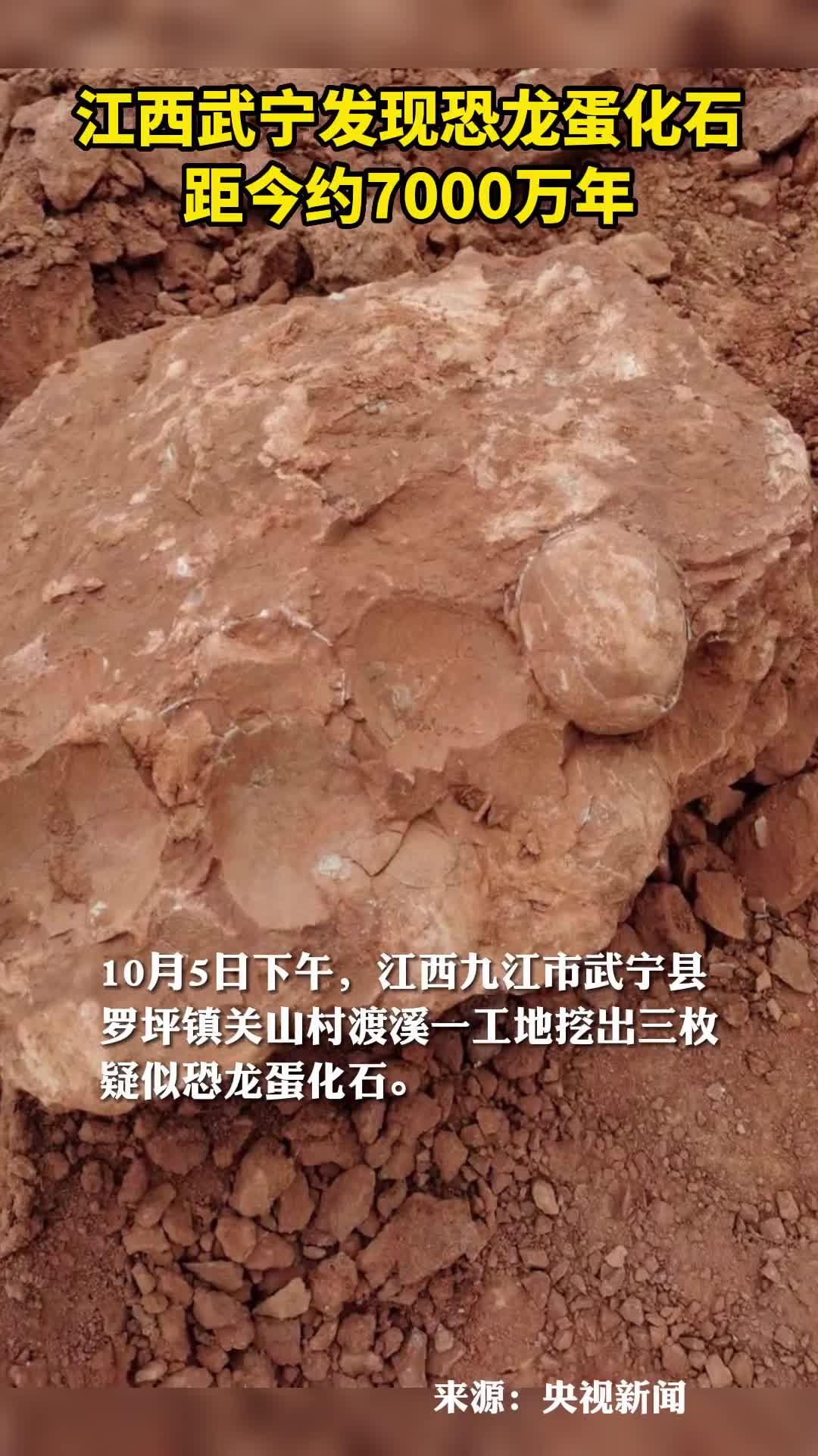 江西武宁发现恐龙蛋化石距今约7000万年