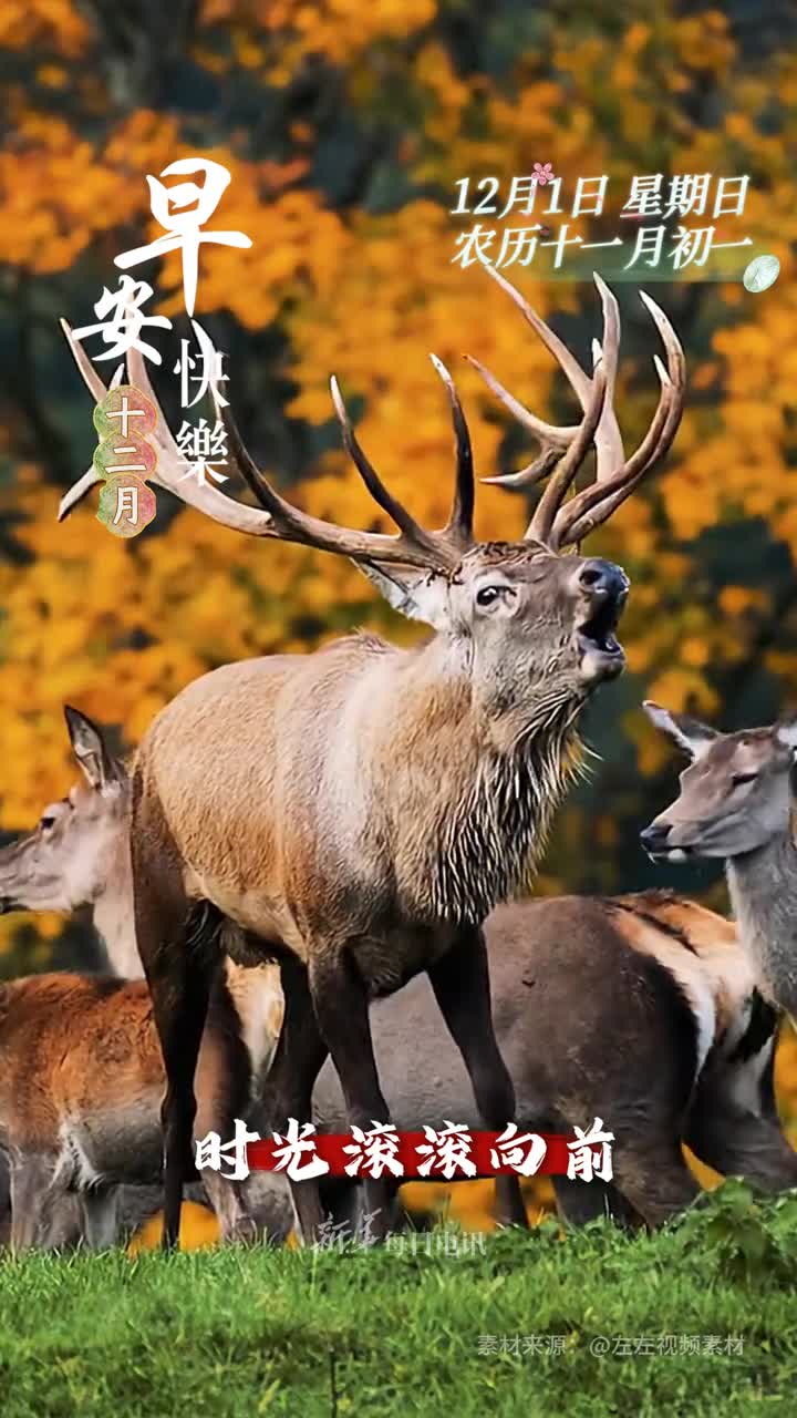 时光滚滚向前忽而已至岁末十二月的第一天祝您和家人事事如愿岁岁平安