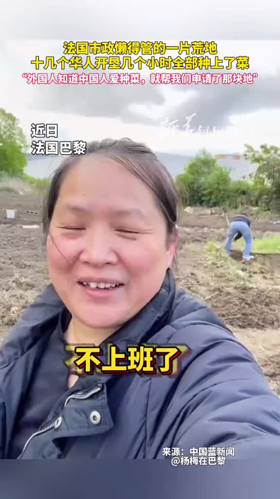 法国市政懒得管的一片荒地十几个华人开垦几个小时全部种上了菜外国人知道中国人爱种菜就帮我们申请了那块地