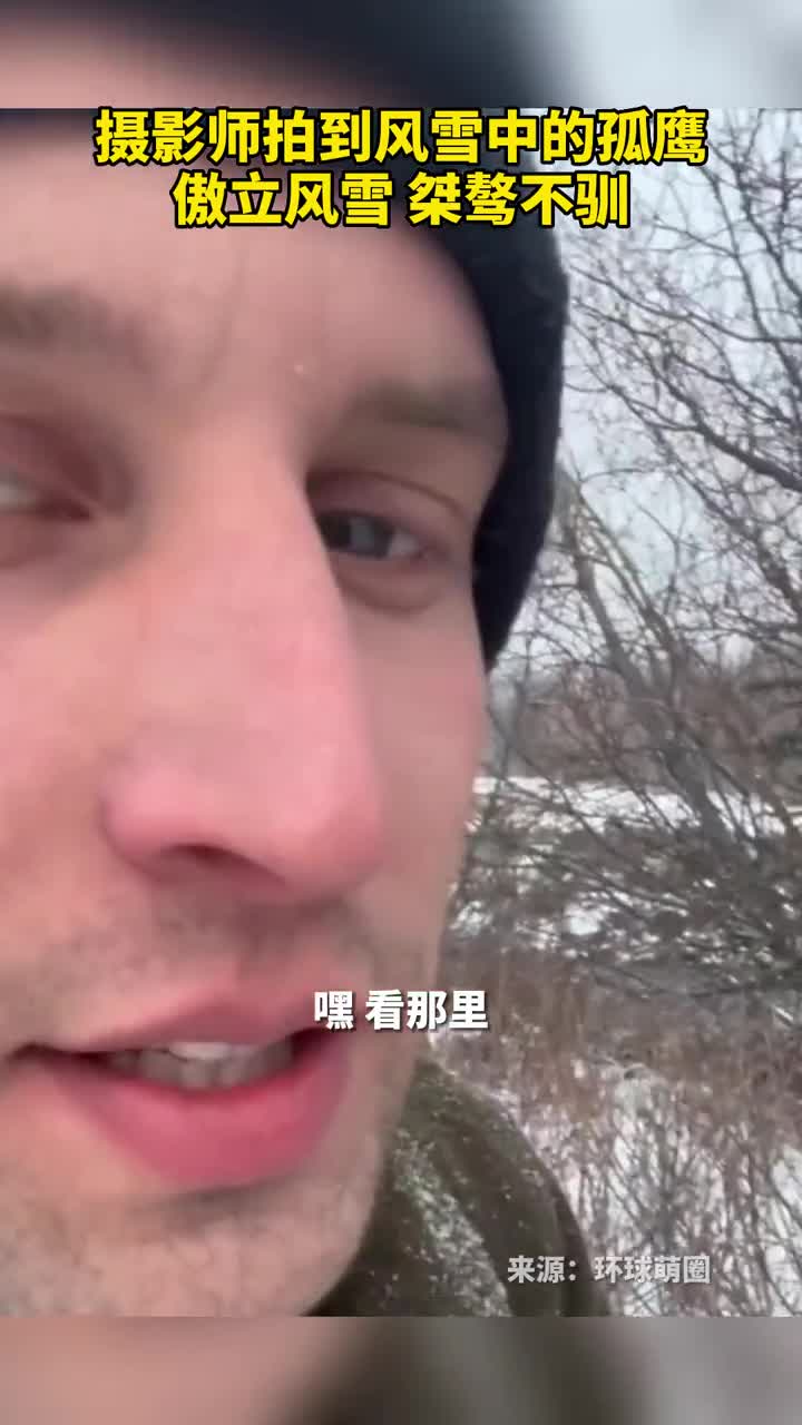 摄影师拍到风雪中的孤鹰傲立风雪桀骜不驯