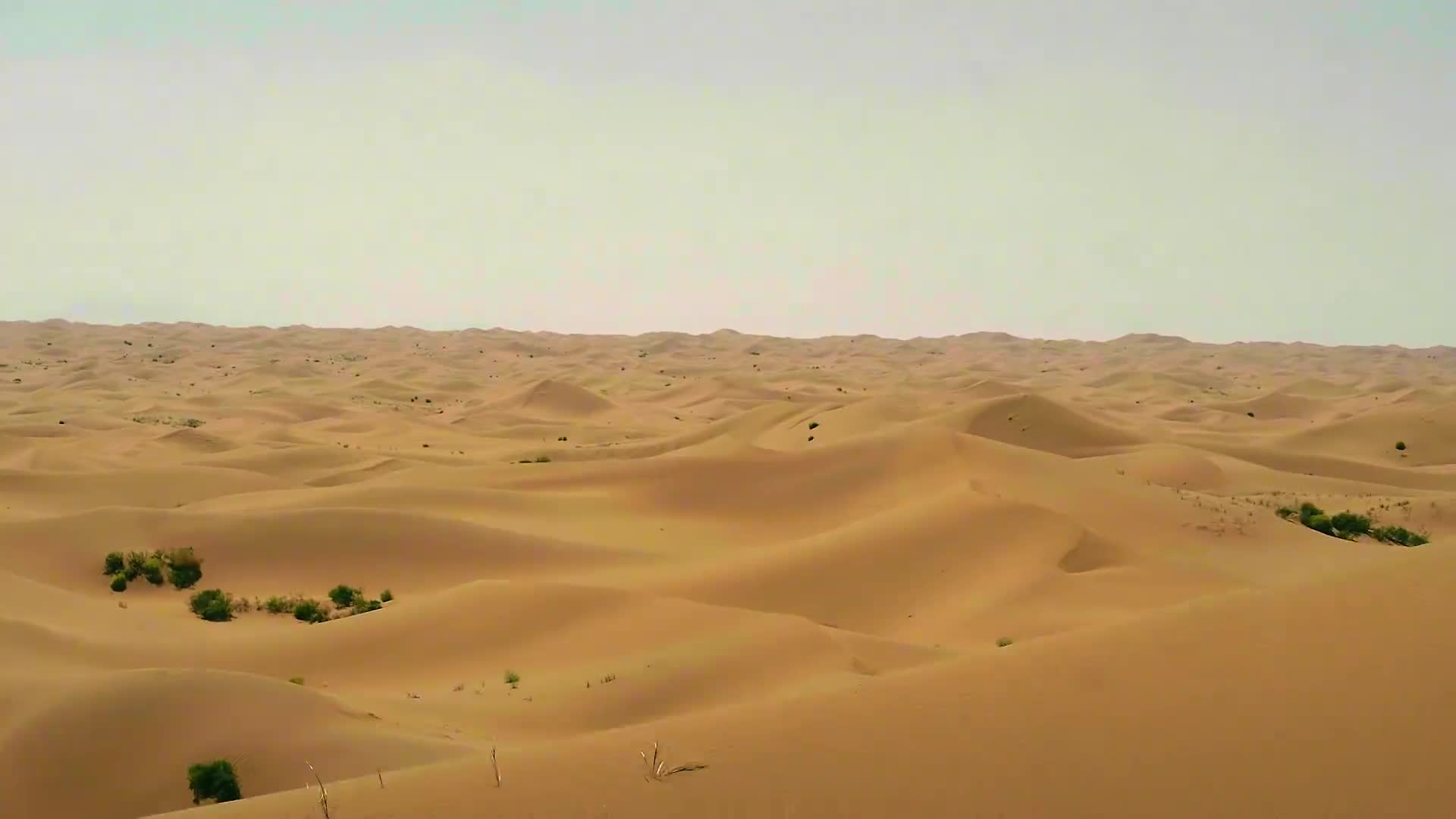 没那么轻松中外探险家沙漠疾驰挑战自然