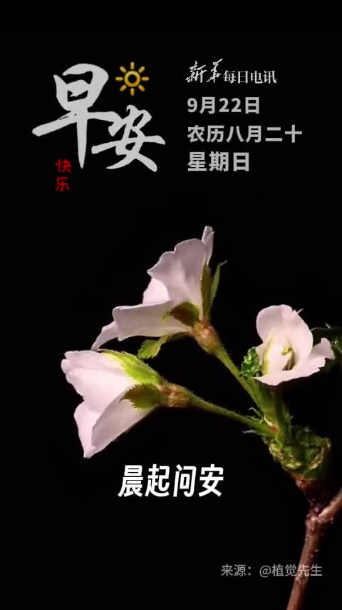 晨起问安花开有福今日秋分愿你身体健康万事顺遂
