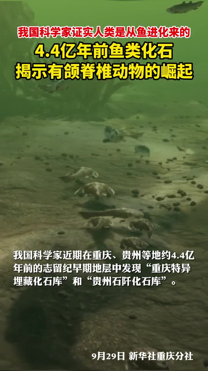 我国科学家证实人类是从鱼进化来的44亿年前鱼类化石揭示有颌脊椎动物的崛起