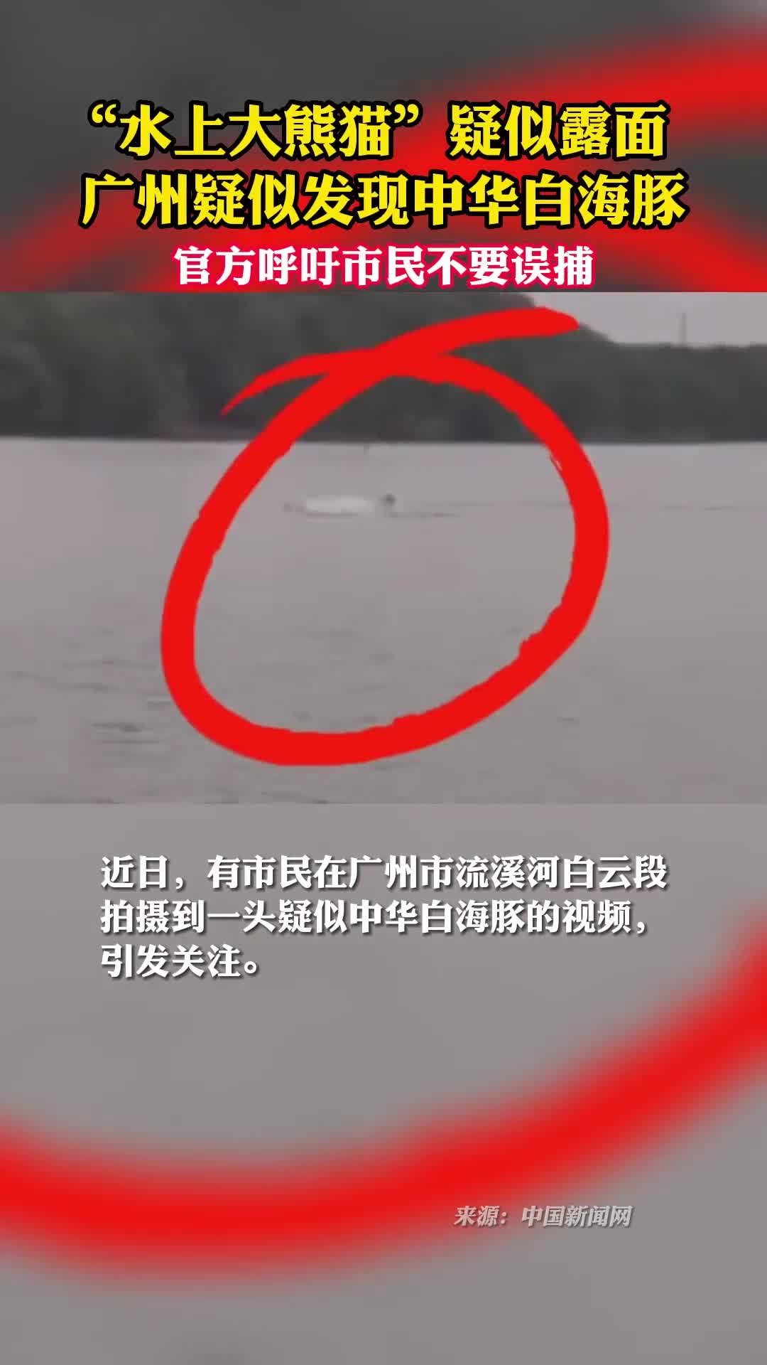 水上大熊猫疑似露面