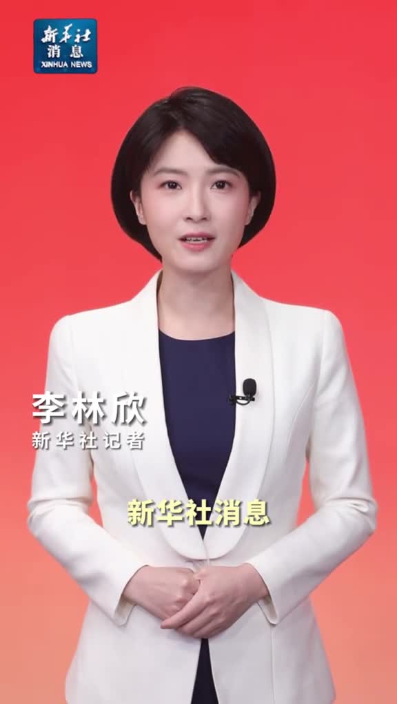 新华社消息习近平会见巴西副总统阿尔克明