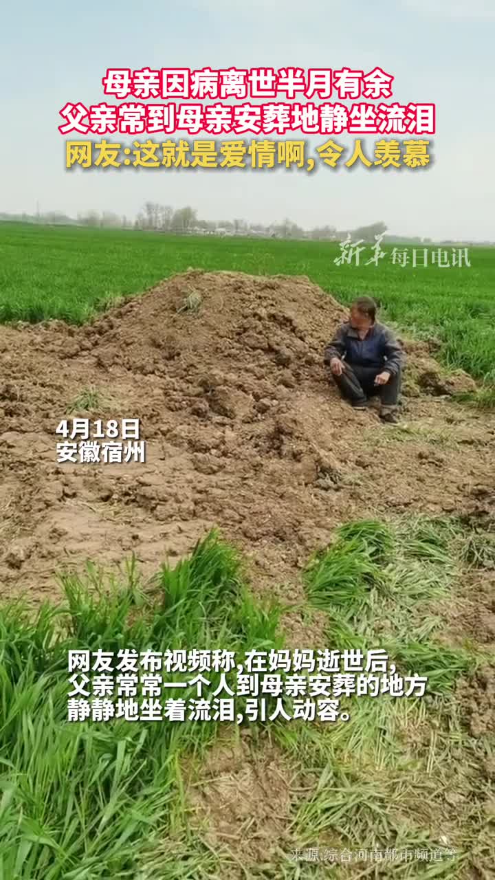 母亲因病离世半月有余父亲常到母亲安葬地静坐流泪网友这就是爱情啊令人羡慕