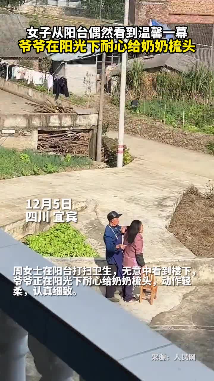 温馨一幕爷爷在阳光下耐心给奶奶梳头