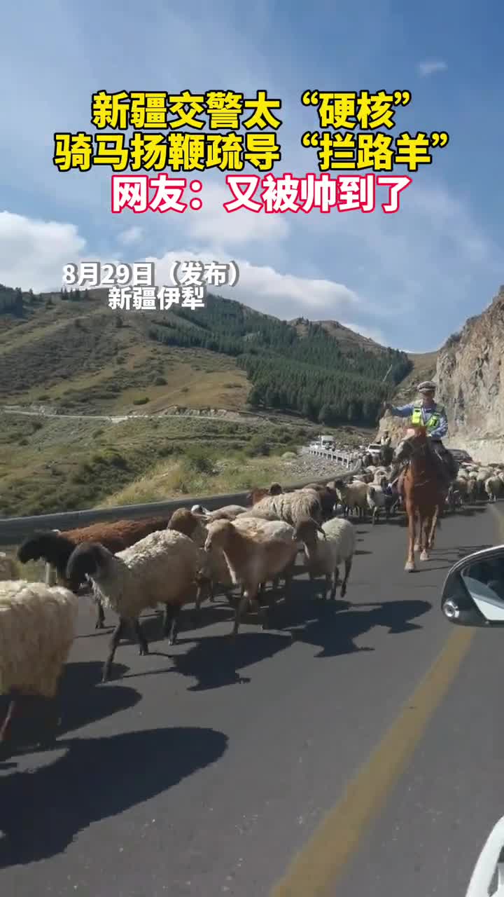 新疆交警太硬核骑马扬鞭疏导拦路羊网友又被帅到了