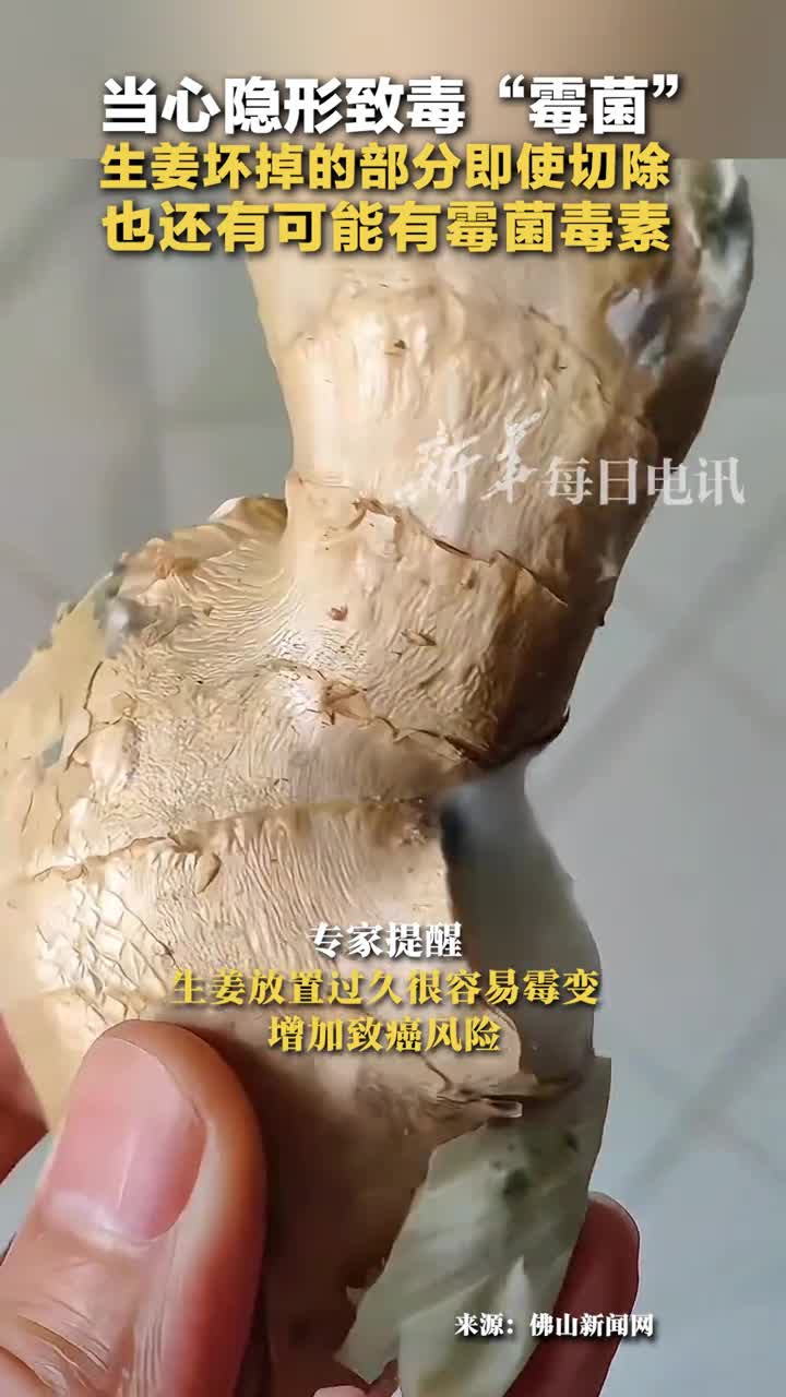 当心隐形致毒霉菌生姜坏掉的部分即使切除也还有可能有霉菌毒素